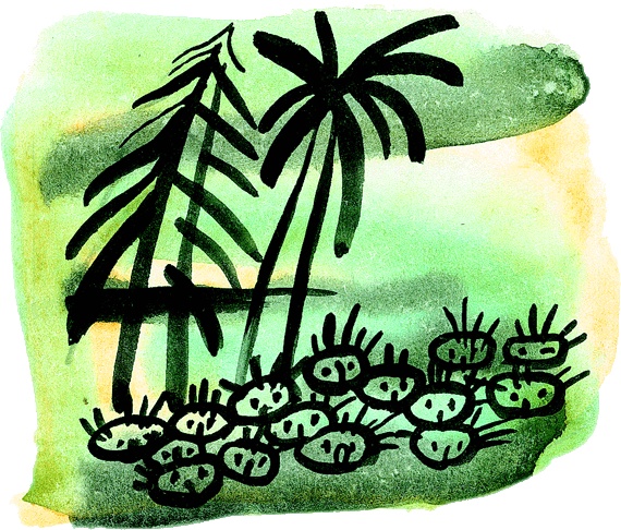 Иллюстрация к книге — Мотылек, который топнул ногой [i_029.jpg]