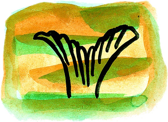 Иллюстрация к книге — Мотылек, который топнул ногой [i_039.jpg]