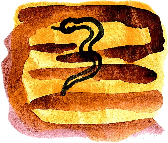 Иллюстрация к книге — Мотылек, который топнул ногой [i_061.jpg]