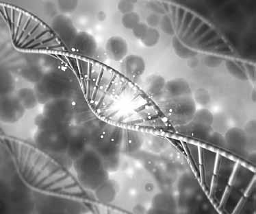 Иллюстрация к книге — Тайна трех государей [i_061.jpg]