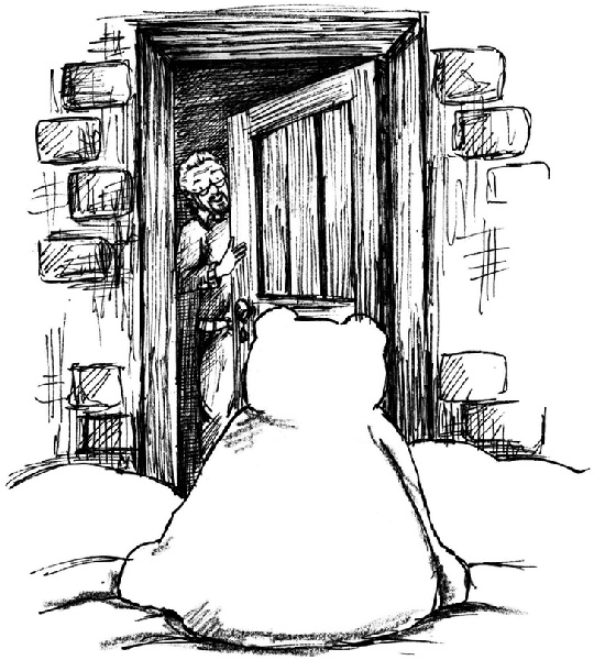 Иллюстрация к книге — Рождественские истории. Покатай меня, медведица! [i_012.jpg]