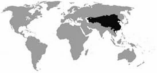 Иллюстрация к книге — Россия и Китай. Две твердыни. Прошлое, настоящее, перспективы [_022.jpg]