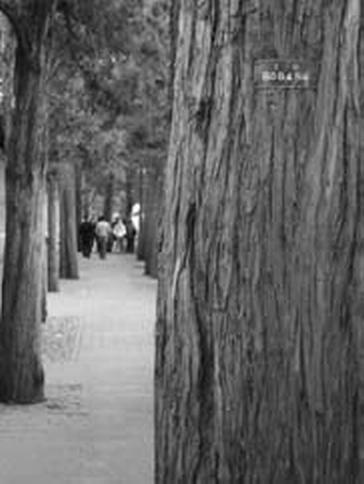 Иллюстрация к книге — Россия и Китай. Две твердыни. Прошлое, настоящее, перспективы [_337.jpg]