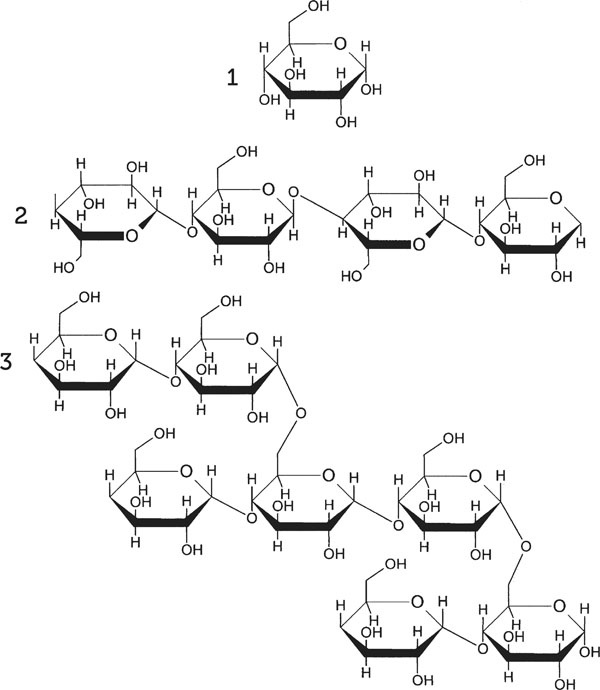 Иллюстрация к книге — Нескучная биология [_10.jpg]