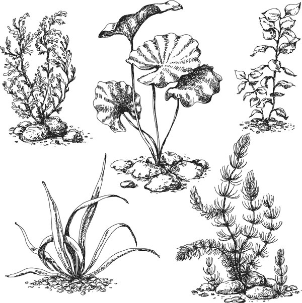 Иллюстрация к книге — Нескучная биология [_122.jpg]