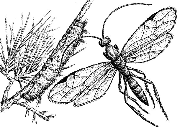 Иллюстрация к книге — Нескучная биология [_1392.jpg]