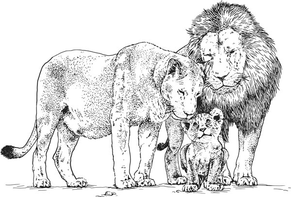 Иллюстрация к книге — Нескучная биология [_148.jpg]