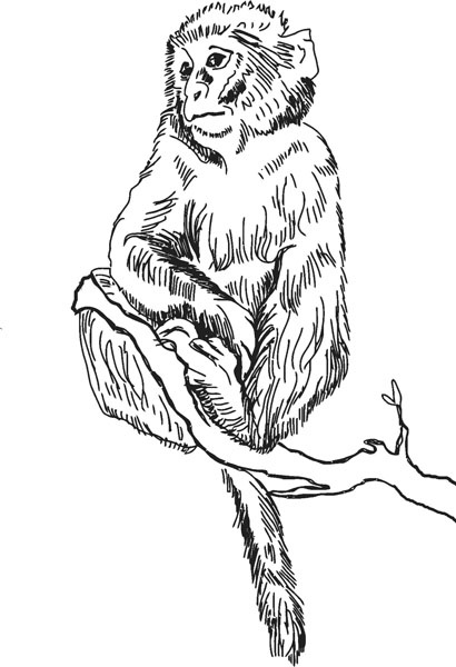 Иллюстрация к книге — Нескучная биология [_149.jpg]