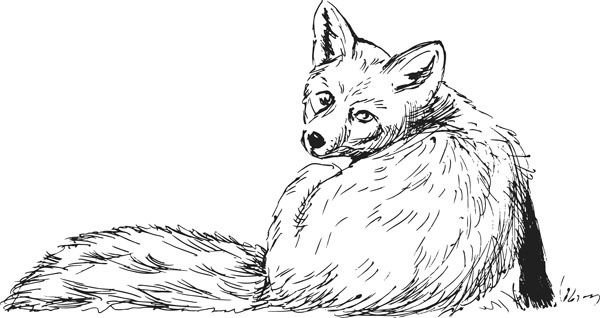 Иллюстрация к книге — Нескучная биология [_150.jpg]