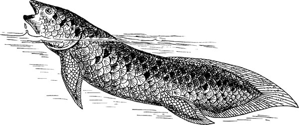 Иллюстрация к книге — Нескучная биология [_1682.jpg]