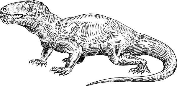 Иллюстрация к книге — Нескучная биология [_177.jpg]