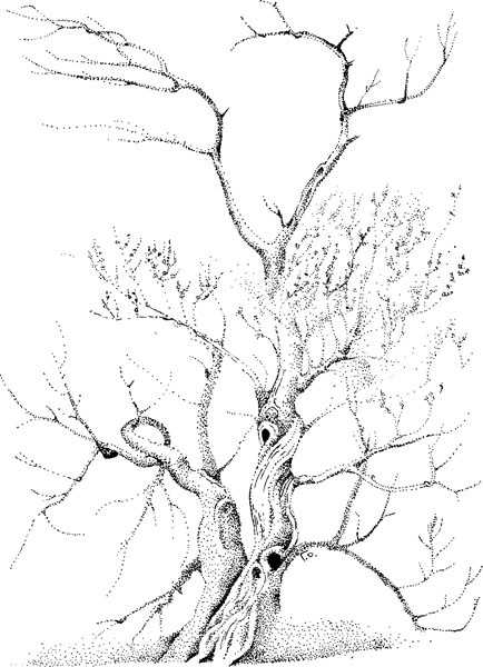 Иллюстрация к книге — Нескучная биология [_206.jpg]