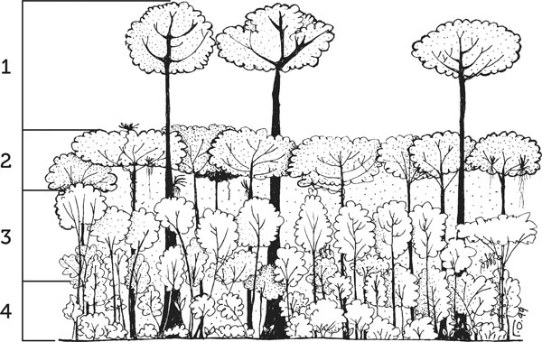 Иллюстрация к книге — Нескучная биология [_218.jpg]