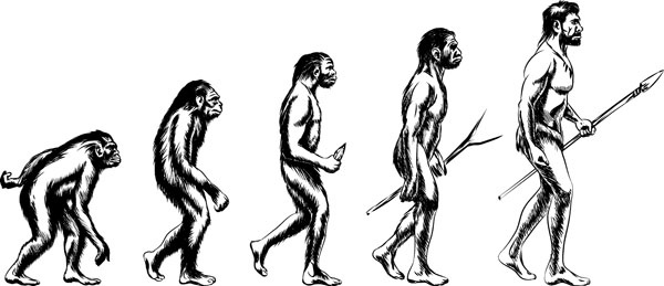 Иллюстрация к книге — Нескучная биология [_26.jpg]