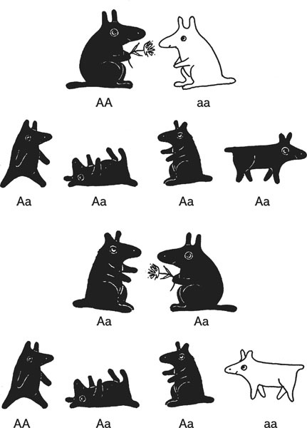 Иллюстрация к книге — Нескучная биология [_39.jpg]