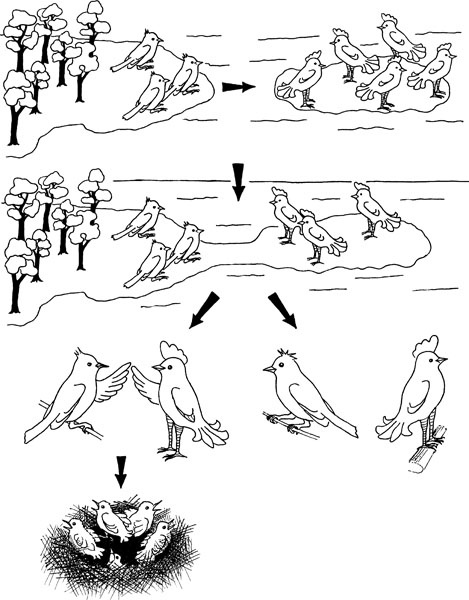 Иллюстрация к книге — Нескучная биология [_42.jpg]