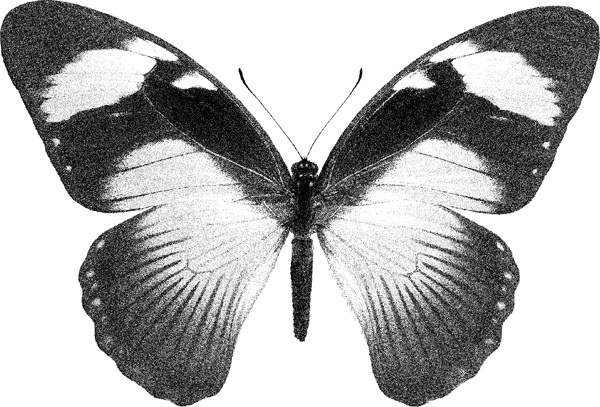 Иллюстрация к книге — Нескучная биология [_522.jpg]