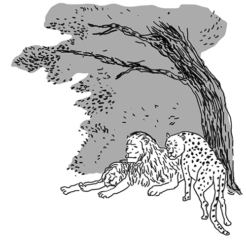 Иллюстрация к книге — Вдруг охотник выбегает [i_008.jpg]