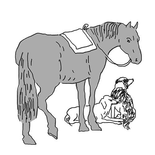 Иллюстрация к книге — Вдруг охотник выбегает [i_010.jpg]