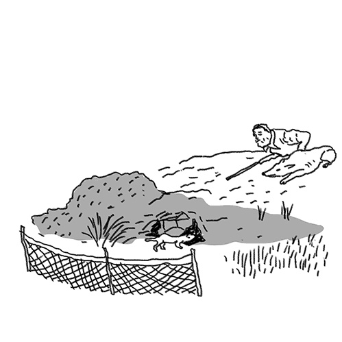 Иллюстрация к книге — Вдруг охотник выбегает [i_013.jpg]