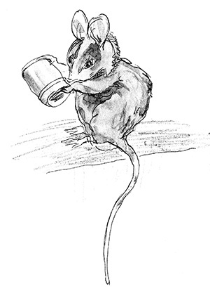 Иллюстрация к книге — Мисс Черити [i_005.jpg]