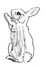 Иллюстрация к книге — Мисс Черити [i_011.jpg]