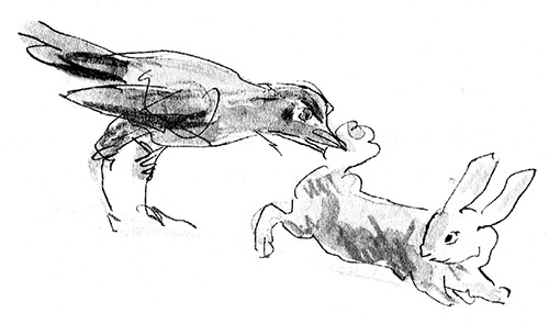 Иллюстрация к книге — Мисс Черити [i_045.jpg]