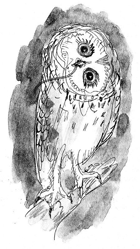 Иллюстрация к книге — Мисс Черити [i_050.jpg]