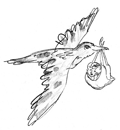 Иллюстрация к книге — Мисс Черити [i_056.jpg]