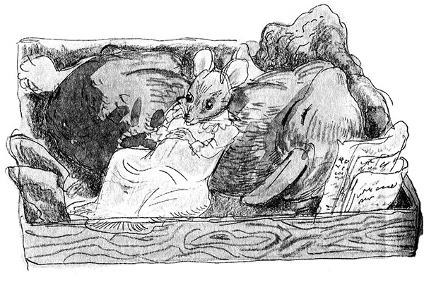 Иллюстрация к книге — Мисс Черити [i_060.jpg]