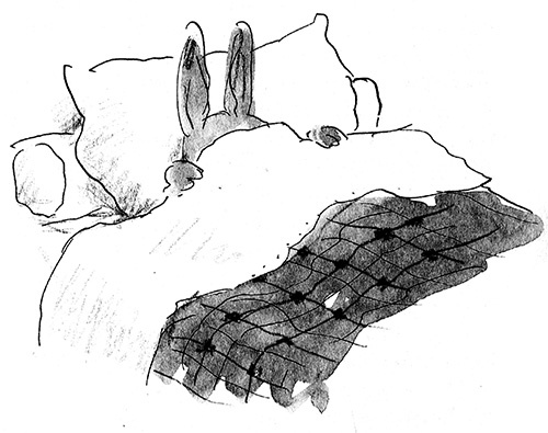 Иллюстрация к книге — Мисс Черити [i_071.jpg]