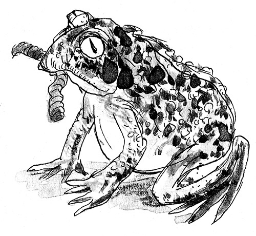 Иллюстрация к книге — Мисс Черити [i_081.jpg]