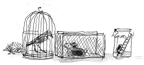 Иллюстрация к книге — Мисс Черити [i_082.jpg]