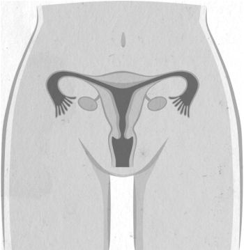Иллюстрация к книге — Девочка. Девушка. Женщина [i_013.jpg]
