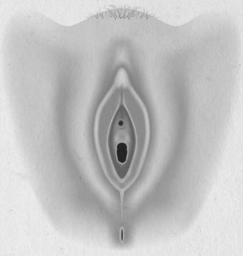 Иллюстрация к книге — Девочка. Девушка. Женщина [i_014.jpg]