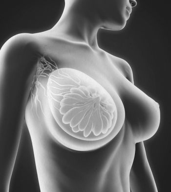 Иллюстрация к книге — Девочка. Девушка. Женщина [i_018.jpg]