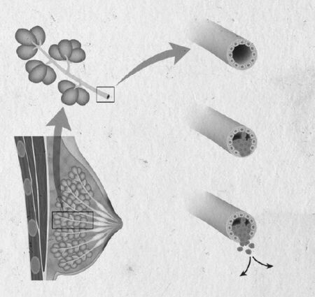 Иллюстрация к книге — Девочка. Девушка. Женщина [i_019.jpg]