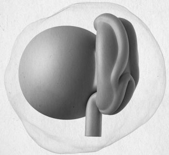 Иллюстрация к книге — Девочка. Девушка. Женщина [i_027.jpg]