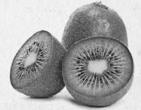 Иллюстрация к книге — Девочка. Девушка. Женщина [i_203.jpg]