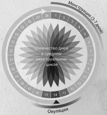 Иллюстрация к книге — Девочка. Девушка. Женщина [i_229.jpg]