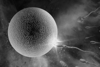 Иллюстрация к книге — Девочка. Девушка. Женщина [i_231.jpg]