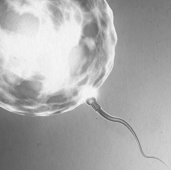 Иллюстрация к книге — Девочка. Девушка. Женщина [i_272.jpg]