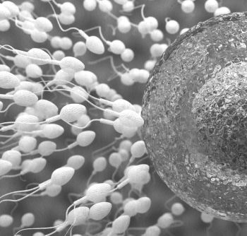 Иллюстрация к книге — Девочка. Девушка. Женщина [i_275.jpg]