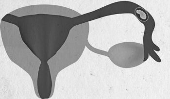 Иллюстрация к книге — Девочка. Девушка. Женщина [i_283.jpg]