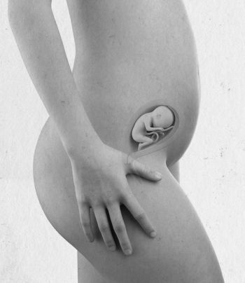 Иллюстрация к книге — Девочка. Девушка. Женщина [i_292.jpg]