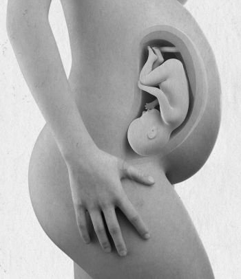 Иллюстрация к книге — Девочка. Девушка. Женщина [i_296.jpg]