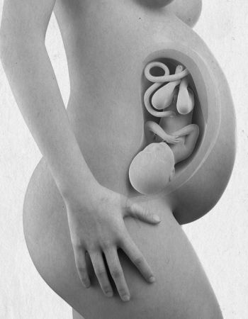 Иллюстрация к книге — Девочка. Девушка. Женщина [i_297.jpg]