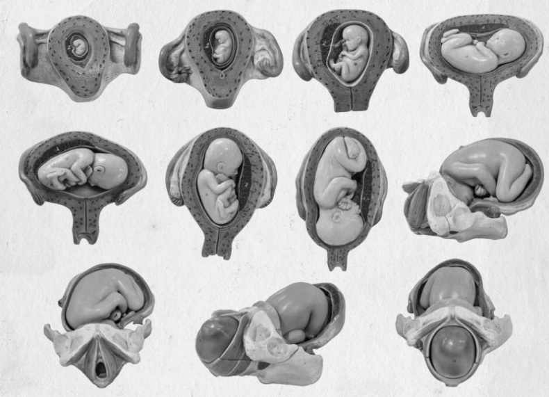 Иллюстрация к книге — Девочка. Девушка. Женщина [i_298.jpg]