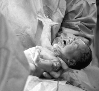 Иллюстрация к книге — Девочка. Девушка. Женщина [i_352.jpg]