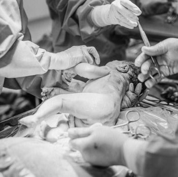 Иллюстрация к книге — Девочка. Девушка. Женщина [i_359.jpg]